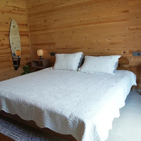 Hotel Vega *